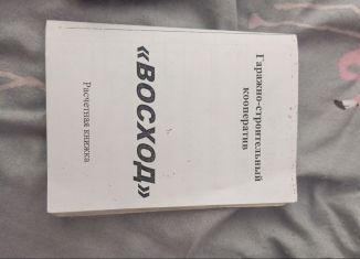 Гараж на продажу, 24 м2, Елабуга, территория ГСК Восход, 134