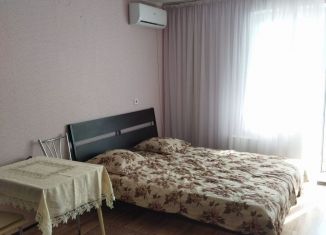 Сдам в аренду квартиру студию, 30 м2, Анапа, улица Адмирала Пустошкина, 10