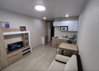 Сдаю в аренду квартиру студию, 23 м2, Киров, улица Ленина, 190к5