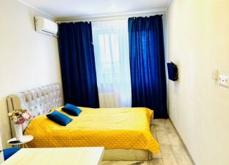 Квартира на продажу студия, 26 м2, Краснодар, Командорская улица, 3к2, ЖК Видный