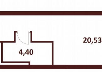 Квартира на продажу студия, 24.9 м2, Санкт-Петербург, метро Пионерская