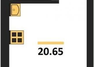 Квартира на продажу студия, 20.6 м2, Воронеж, Центральный район, Транспортная улица, 58