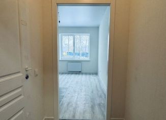 Сдам квартиру студию, 21.9 м2, деревня Новое Девяткино, Главная улица, 2