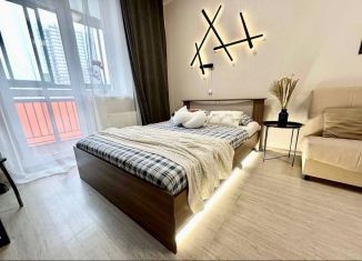 Квартира в аренду студия, 29.8 м2, Екатеринбург, улица Чайковского, 66А