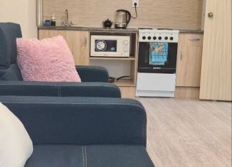 Сдаю квартиру студию, 24.3 м2, Краснодар, улица Героя Владислава Посадского, 47