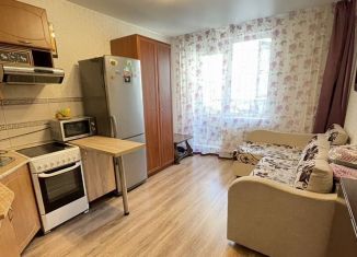 Продаю квартиру студию, 21 м2, Кудрово, Английская улица