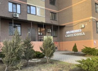 Продажа двухкомнатной квартиры, 53.7 м2, Ростов-на-Дону, улица Ерёменко, 100/70, ЖК Николаевский