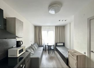 Сдаю в аренду 1-комнатную квартиру, 34 м2, Санкт-Петербург, Ивинская улица, 15, ЖК Юнтолово