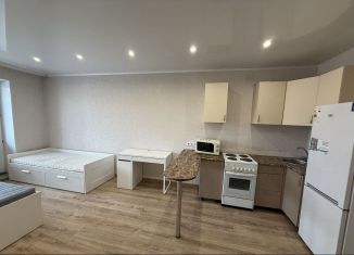 Сдаю в аренду квартиру студию, 30 м2, Республика Башкортостан, Весенняя улица, 2