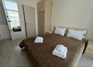 Сдается в аренду квартира студия, 17 м2, Сириус, бульвар Надежд, 6/3