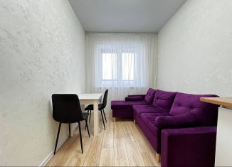 Сдам в аренду 1-ком. квартиру, 34.8 м2, деревня Новое Девяткино, Главная улица