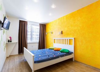 Сдается квартира студия, 28 м2, Мурино, проспект Авиаторов Балтики, 9к3