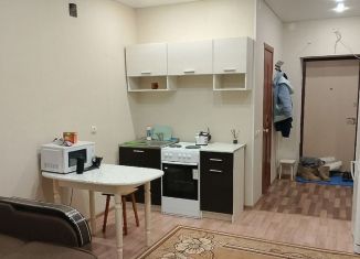 Аренда квартиры студии, 29 м2, Димитровград, Мостовая улица, 16А