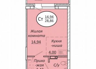 Продам квартиру студию, 28.9 м2, Новосибирск, Октябрьский район