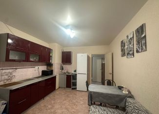 Аренда 1-комнатной квартиры, 44 м2, Татарстан, 10-й квартал, 16