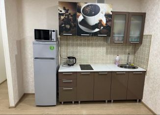 Продается однокомнатная квартира, 30.4 м2, Новомосковск, улица Мира, 13Д