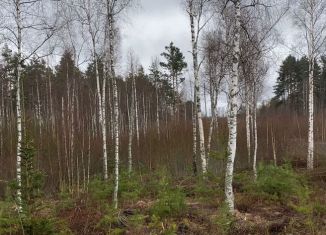 Продажа земельного участка, 24.1 сот., деревня Раздолье