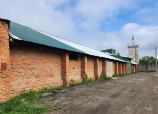 Продается помещение свободного назначения, 5000 м2, Еврейская АО, улица 40 лет Победы, 4