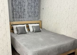 Сдам в аренду квартиру студию, 30 м2, Республика Башкортостан, Караидельская улица, 54/1