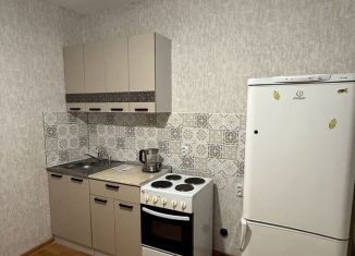 Сдается в аренду 2-комнатная квартира, 52 м2, Санкт-Петербург, Заречная улица, 33