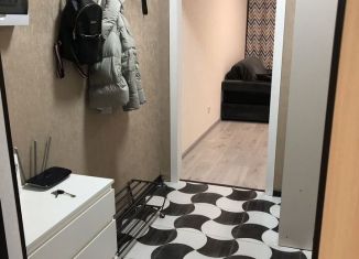 Продаю квартиру студию, 23 м2, посёлок Шушары, Школьная улица, 17