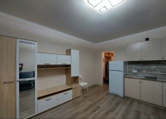 Сдается в аренду квартира студия, 27 м2, посёлок Шушары, Новгородский проспект, 2к1