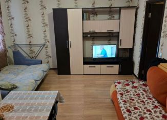 Сдам квартиру студию, 30 м2, посёлок Шушары, Первомайская улица, 5к1