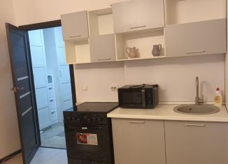 Сдаю квартиру студию, 29 м2, посёлок Шушары, Новгородский проспект, 4