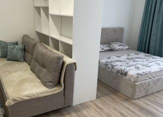 Сдам в аренду однокомнатную квартиру, 50 м2, Республика Башкортостан, улица Рихарда Зорге, 17/8