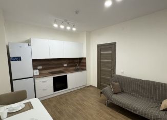 Аренда 2-комнатной квартиры, 60 м2, посёлок Парголово, улица Фёдора Абрамова, 29