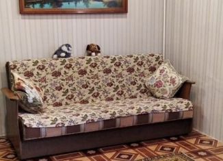 Аренда 2-ком. квартиры, 46 м2, Ленинградская область, Молодёжная улица, 66