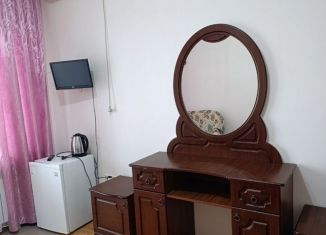 Сдается квартира студия, 21 м2, Сочи, Православная улица, 35Б, микрорайон Энергетик-Изумруд