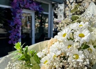 Продаю торговую площадь, 23 м2, Черкесск, проспект Ленина, 53