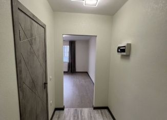 Сдаю в аренду квартиру студию, 24.9 м2, посёлок Шушары, Новгородский проспект, 2к1
