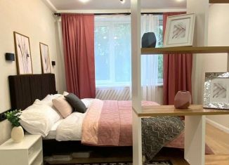 Продаю 1-ком. квартиру, 31 м2, Санкт-Петербург, улица Софьи Ковалевской, 13к2, Калининский район