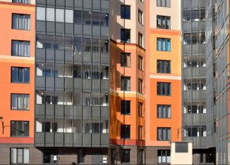 Продажа многокомнатной квартиры, 34 м2, Санкт-Петербург, Петергофское шоссе, 86к3, ЖК Клёны