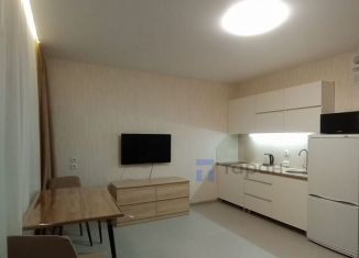 Сдается в аренду квартира студия, 24.4 м2, Челябинск, улица Генерала Мартынова, 2, Курчатовский район