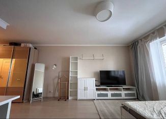 Сдача в аренду 1-комнатной квартиры, 35 м2, деревня Павлино, деревня Павлино, 66