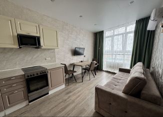 Продаю 1-ком. квартиру, 42 м2, Анапа, улица Толстого, 130к1, ЖК Огни Анапы