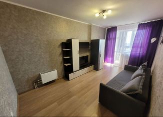 1-ком. квартира в аренду, 45 м2, Екатеринбург, улица Белинского, 177Ак3, улица Белинского