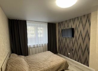 Сдаю однокомнатную квартиру, 30 м2, деревня Крутые Выселки, Лучезарная улица, 8