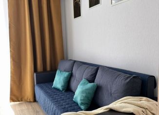 Сдается в аренду квартира студия, 25 м2, Новороссийск, улица Куникова, 47Г