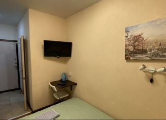 Сдается квартира студия, 15 м2, Санкт-Петербург, Транспортный переулок, 7