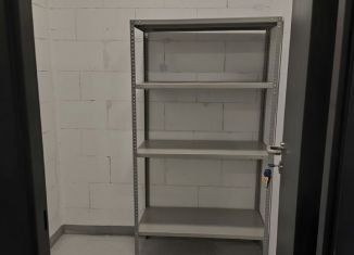 Сдается гараж, 10 м2, Ленинградская область, Голландская улица, 16