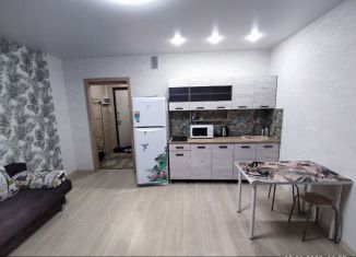 Сдача в аренду квартиры студии, 25 м2, Курган, улица 9 Мая, 4