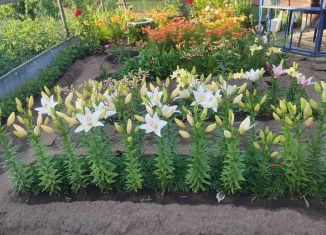 Дача на продажу, 15 м2, Курган