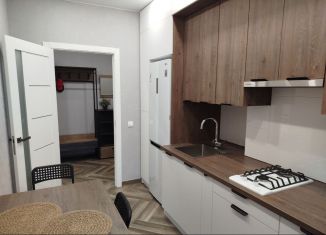 Продажа 2-ком. квартиры, 58.5 м2, Калининград, Елизаветинская улица, 4, ЖК Янтарный