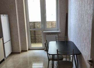 Сдам 1-комнатную квартиру, 43 м2, Краснодар, Садовая улица, 161/1, микрорайон Центральный