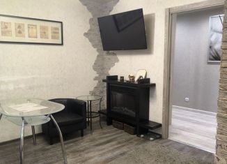 Сдача в аренду двухкомнатной квартиры, 44 м2, Колпино, Пролетарская улица, 7