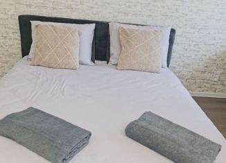 Сдаю в аренду двухкомнатную квартиру, 50 м2, Мурманск, проспект Ленина, 80
